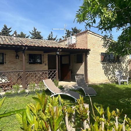 Appartement La Capparuccia à Civitanova Marche Extérieur photo