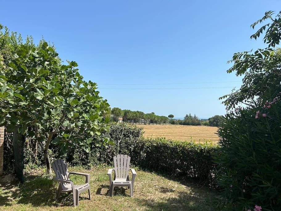 Appartement La Capparuccia à Civitanova Marche Extérieur photo